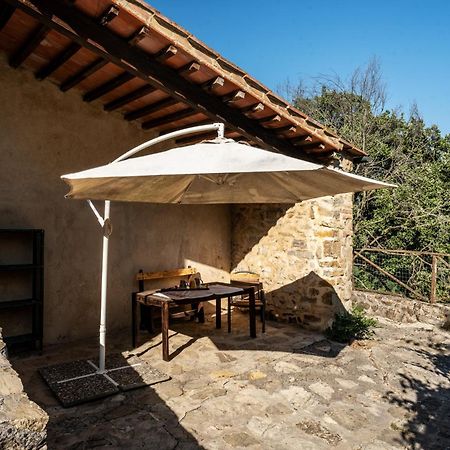 Agriturismo Santa Caterina Castelnuovo di Val di Cecina Eksteriør bilde