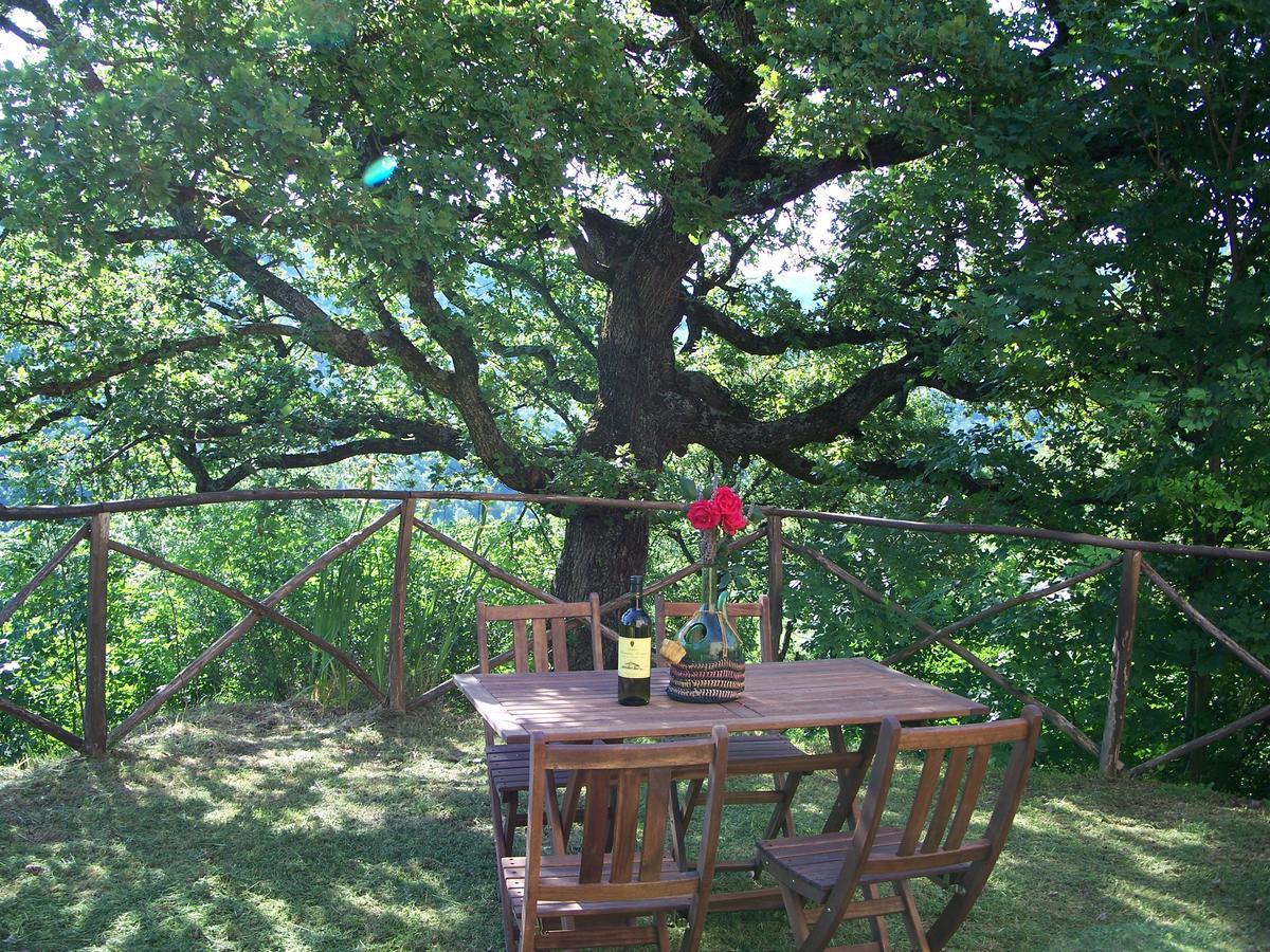 Agriturismo Santa Caterina Castelnuovo di Val di Cecina Eksteriør bilde