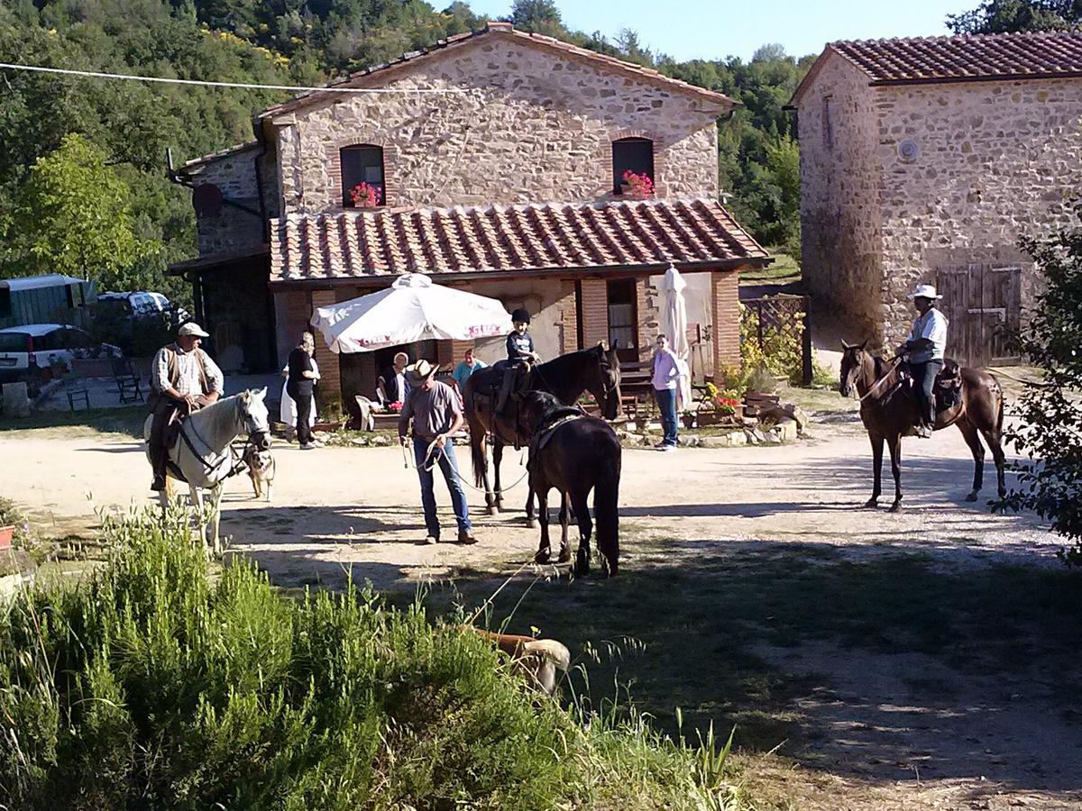 Agriturismo Santa Caterina Castelnuovo di Val di Cecina Eksteriør bilde